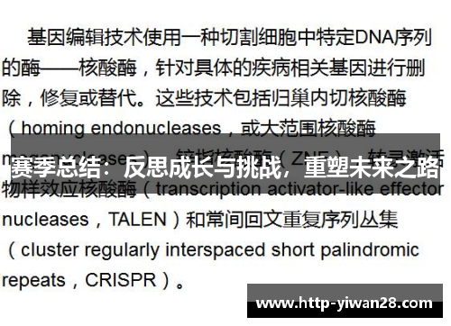 赛季总结：反思成长与挑战，重塑未来之路